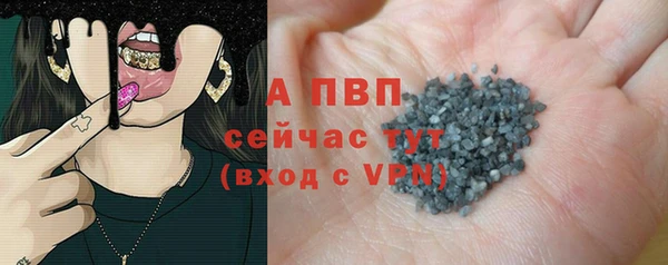 сатива Новодвинск
