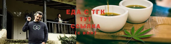 сатива Новодвинск