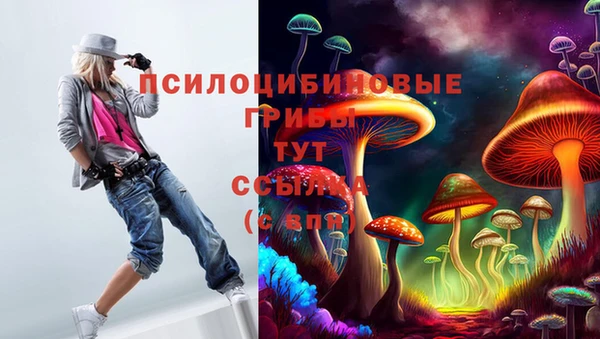 спайс Алзамай